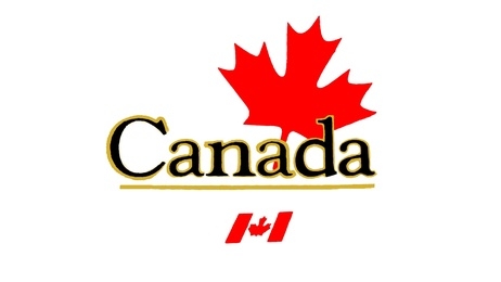 Canada+day+celebrations+2011+toronto